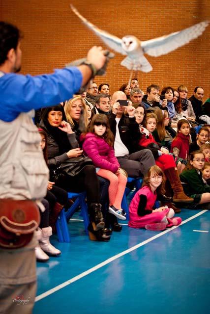 Semana Ciencias en Los Tilos